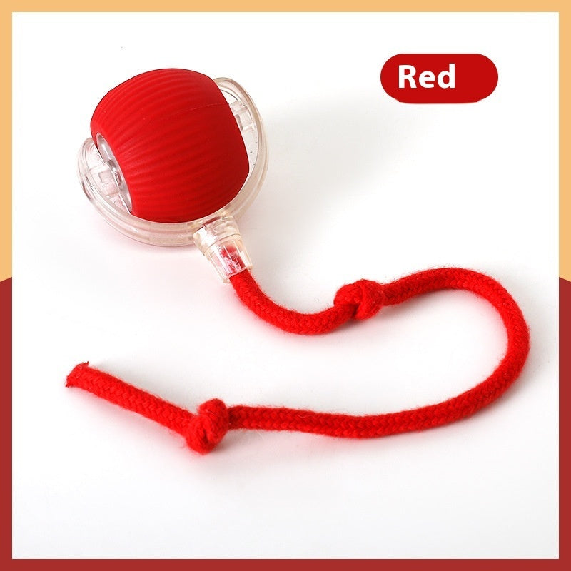 Chase & Play Interactive Pet Toy