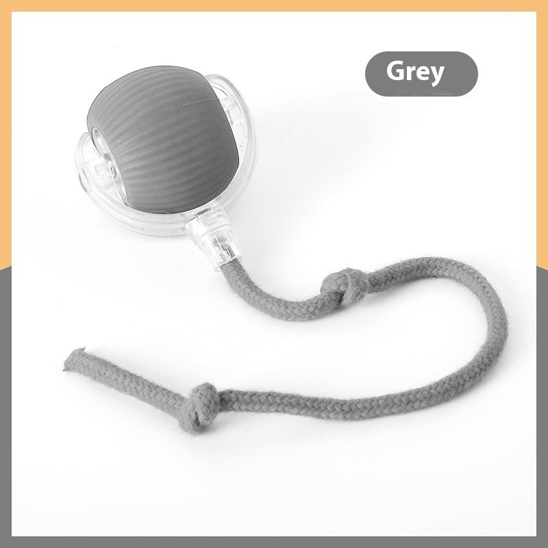 Chase & Play Interactive Pet Toy