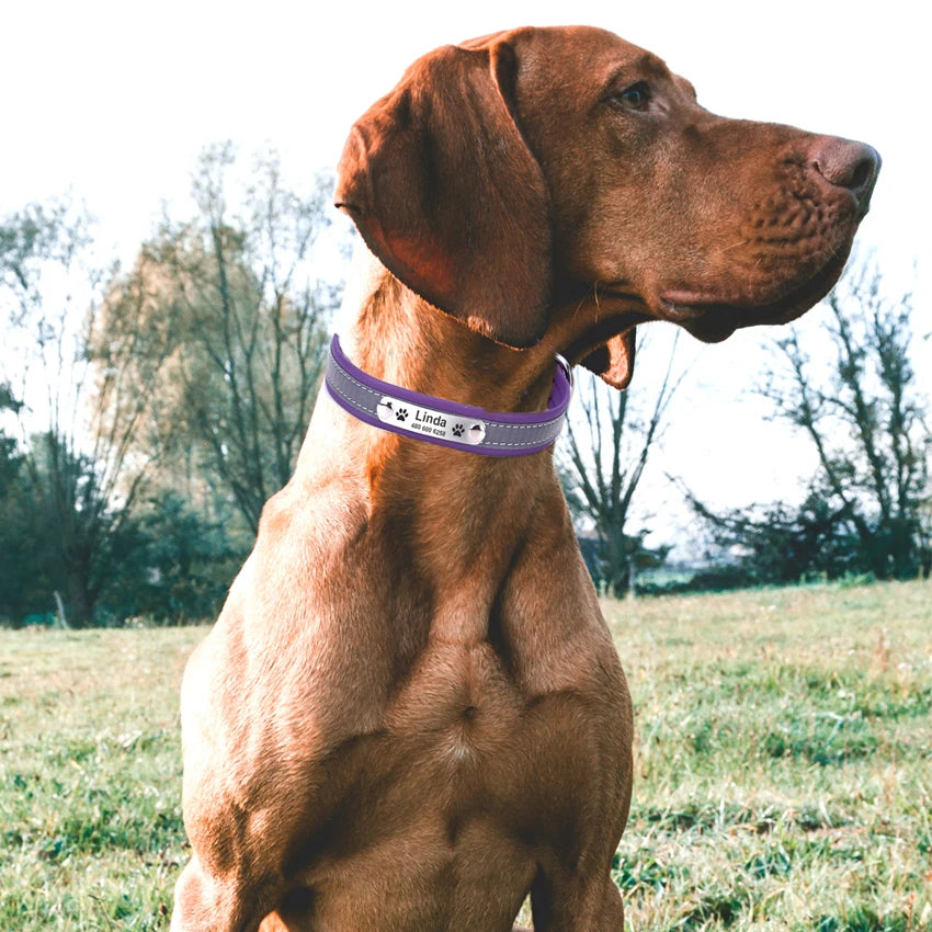 Personalized Dog Collar Leather Reflective Cat Collar Custom Engraved ID Tag Engraved For Puppy Large Dogs  Pet accessories