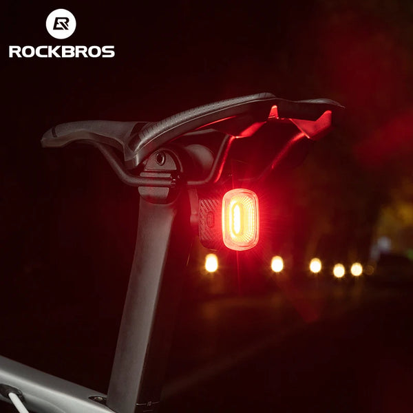 ROCKBROS Bike Light Smart Bicycle Rear Light Auto Brake Sensing IPX6 Waterproof Cycling Tail Lamp LED Type-C Charging Safety Bike Taillight