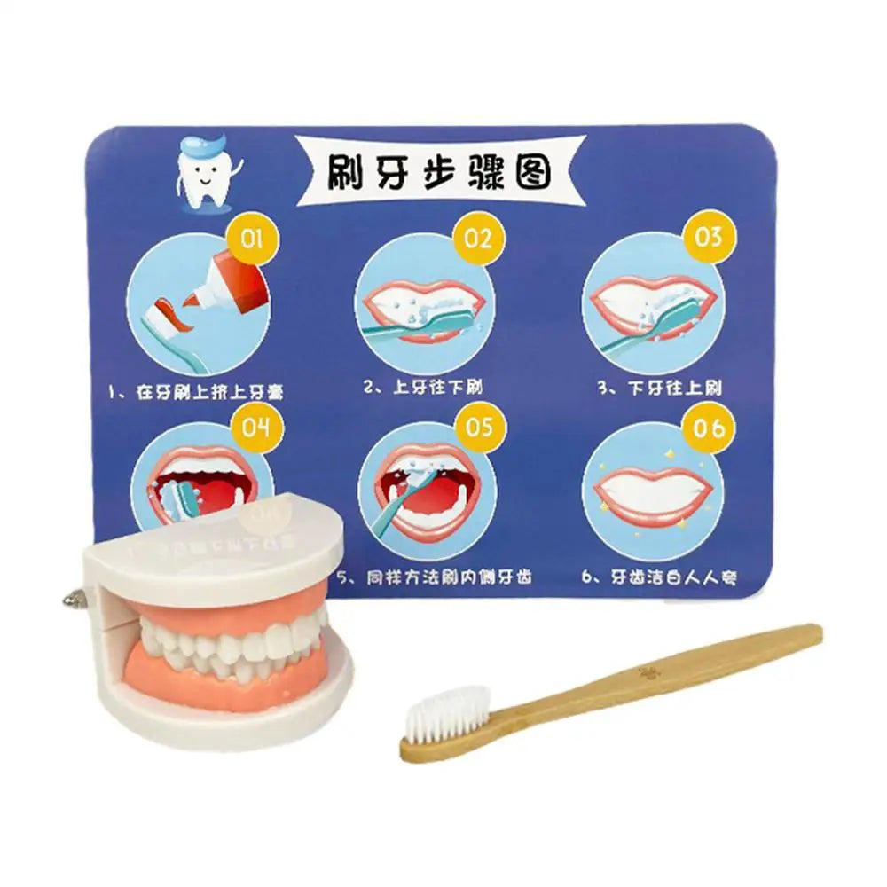 Dentist Toys for Preschool Educational Children Role Play Toys Teeth  Brushing Toys Cute Early Education Cartoon Tooth Brushin