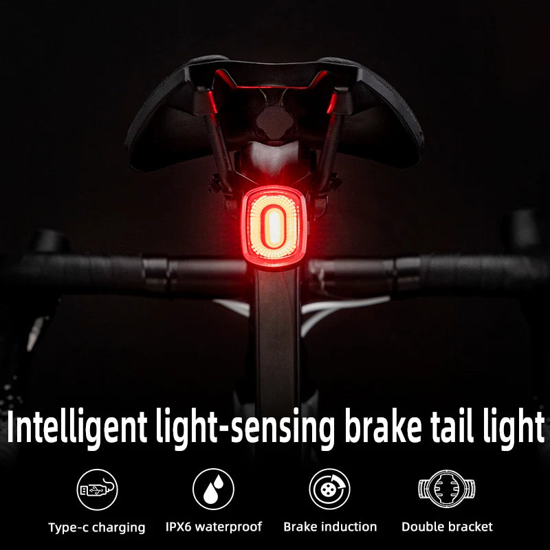 ROCKBROS Bike Light Smart Bicycle Rear Light Auto Brake Sensing IPX6 Waterproof Cycling Tail Lamp LED Type-C Charging Safety Bike Taillight