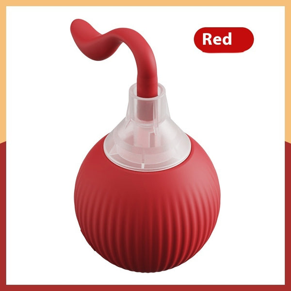 Chase & Play Interactive Pet Toy