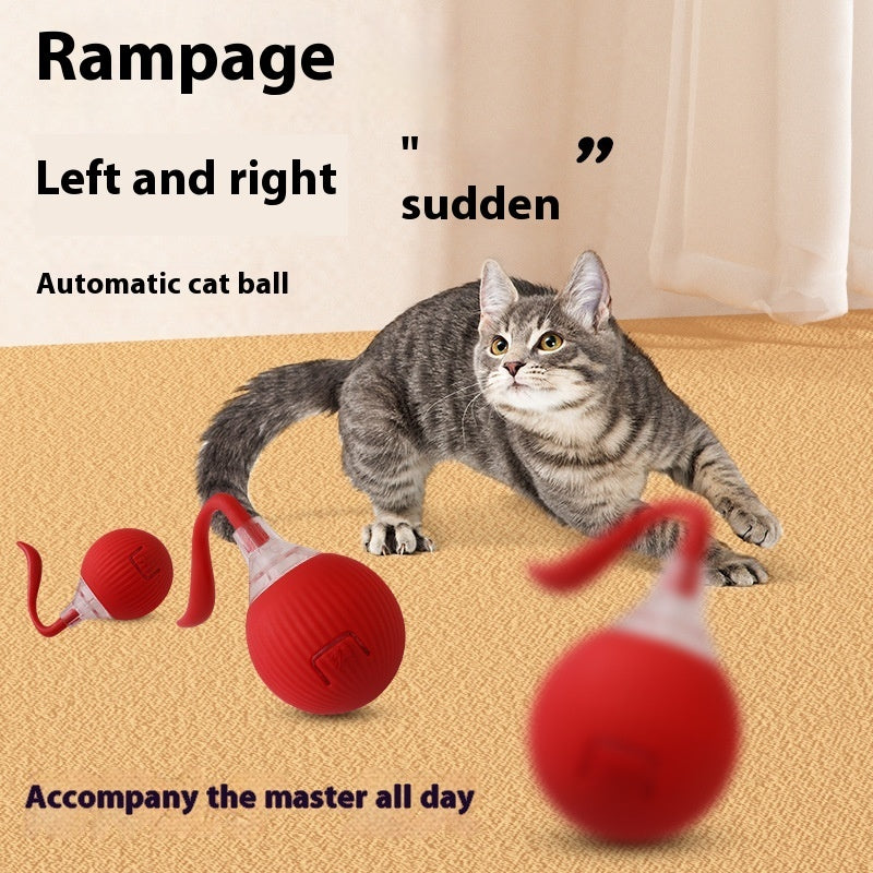 Chase & Play Interactive Pet Toy
