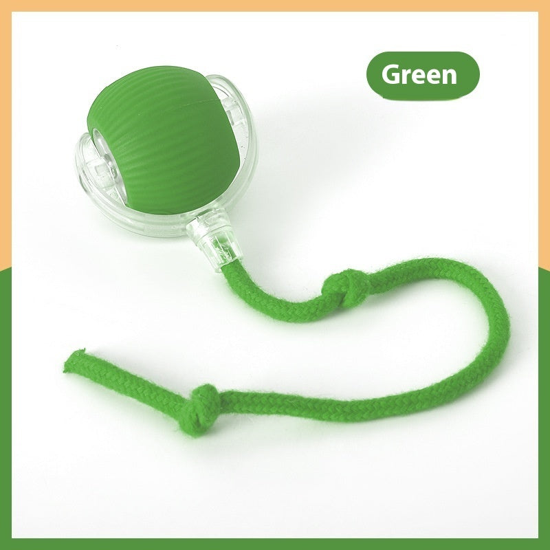 Chase & Play Interactive Pet Toy