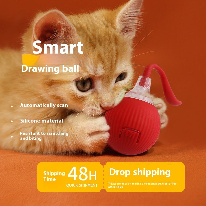Chase & Play Interactive Pet Toy