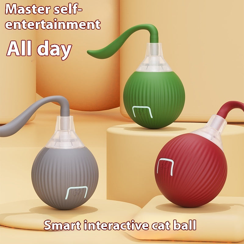 Chase & Play Interactive Pet Toy