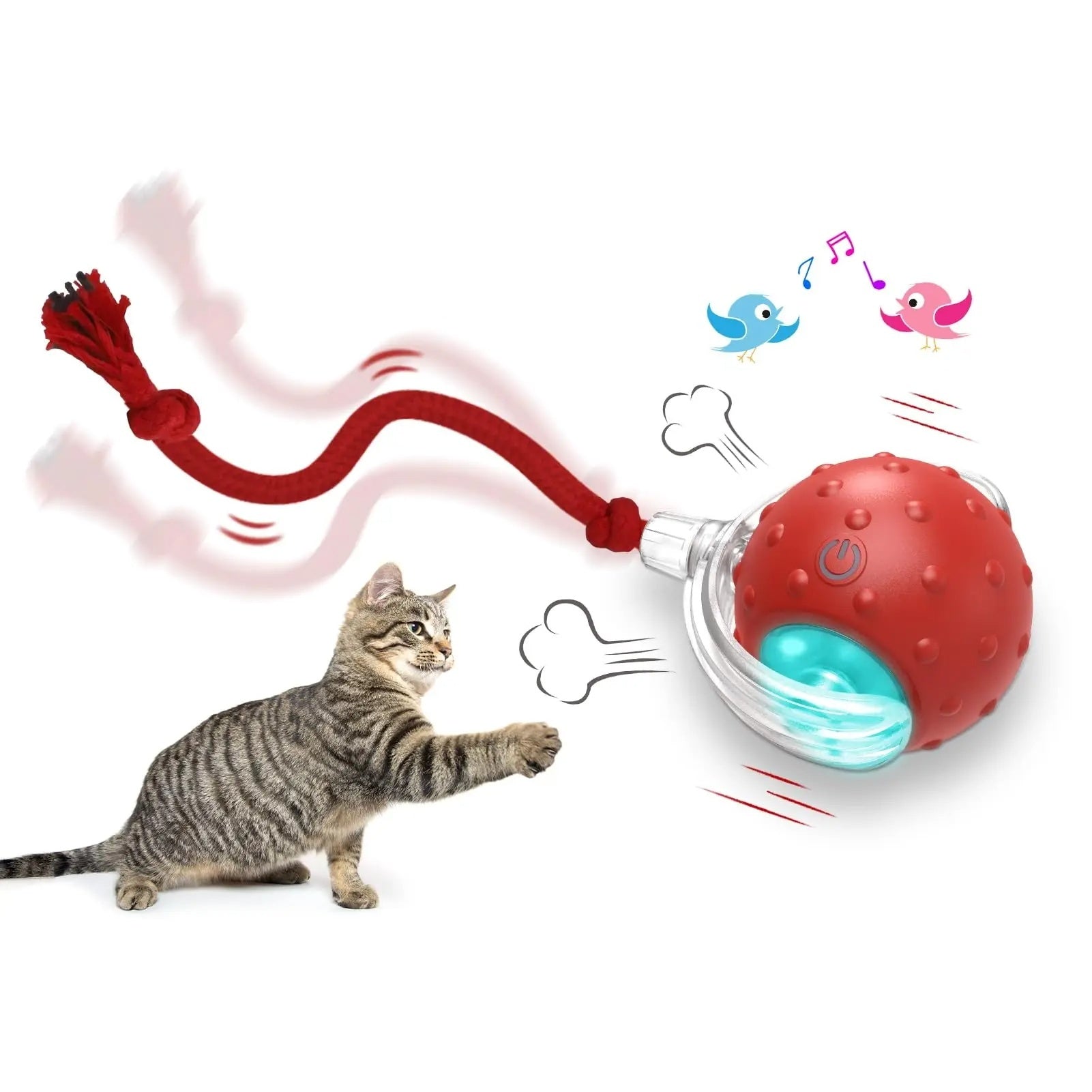 Chase & Play Interactive Pet Toy